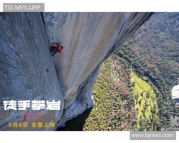 攀岩技术实力权威发布全新榜单揭晓引发行业热议