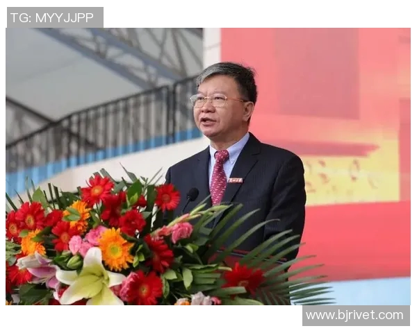 武汉排球队实力解析：从历史成就到未来展望的全面探讨