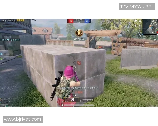 和平精英技术排名分析LNG战队表现创新高引发关注