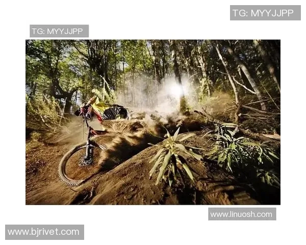 极限运动赛后分析北京队与杭州队的默契配合与战术探讨