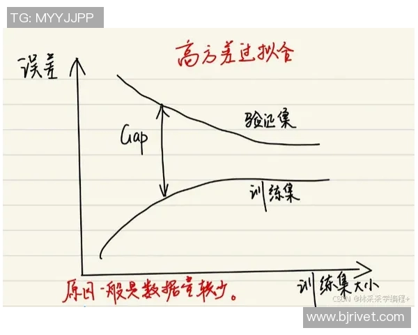 广州滑板队的节奏对比与训练策略深度解析