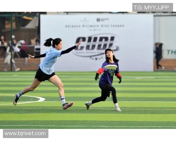 广州飞盘队阵地战战术解析与实战应用全方位解读