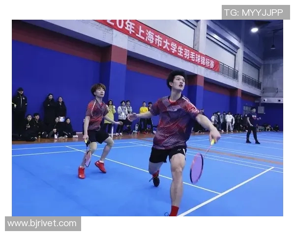 成都羽毛球队在世界锦标赛上的拼搏历程与荣耀时刻分享