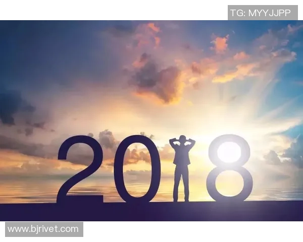 年轻人与卡拉卡斯维克的对决：探索青春与挑战的碰撞与共鸣